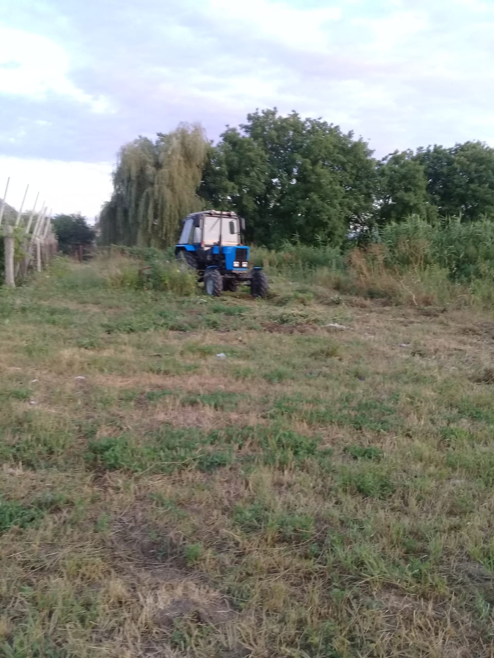 IMG-20190702-WA0007