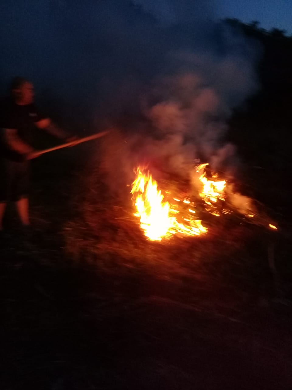 IMG-20190702-WA0010 (1)