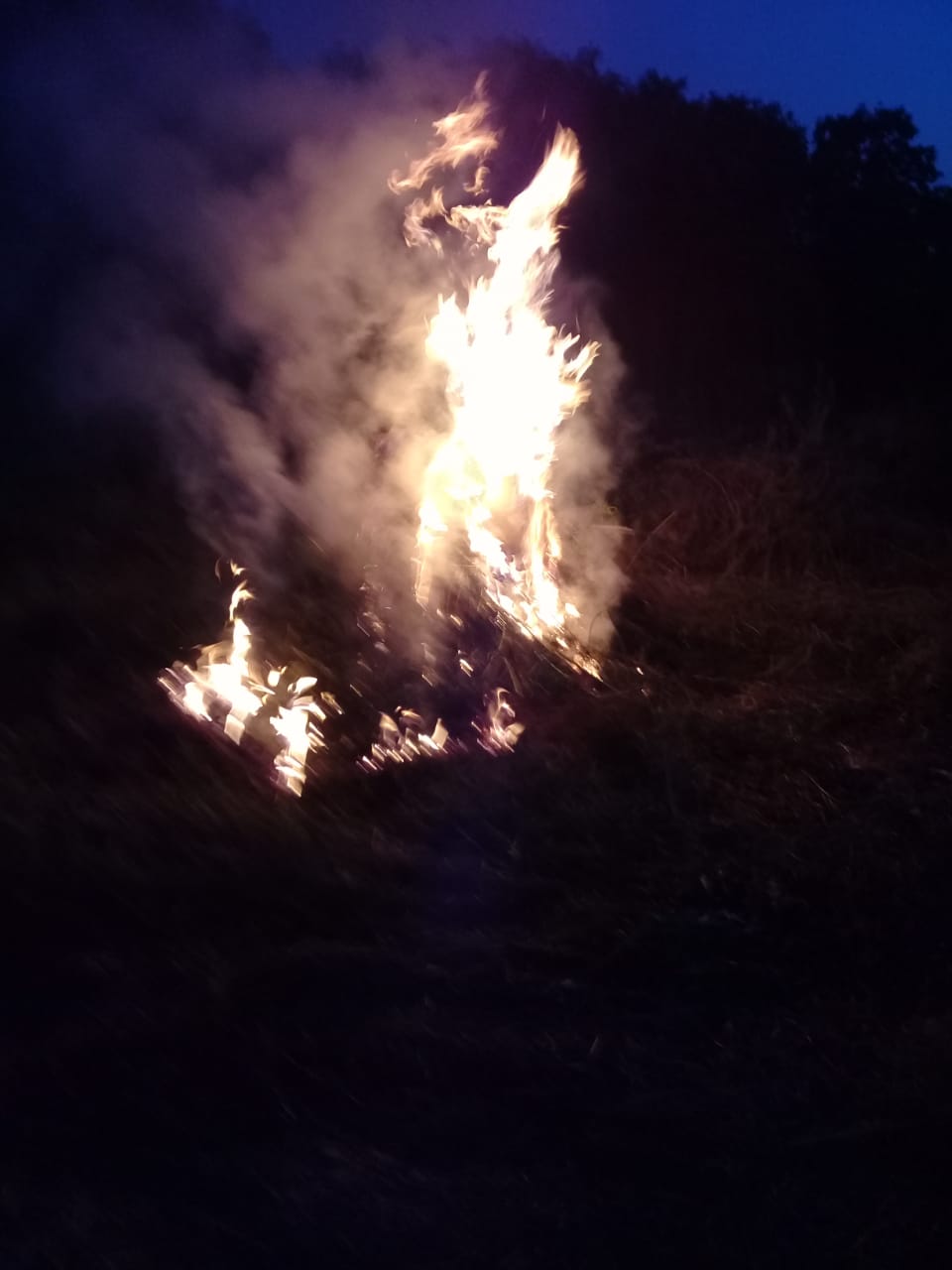 IMG-20190702-WA0014