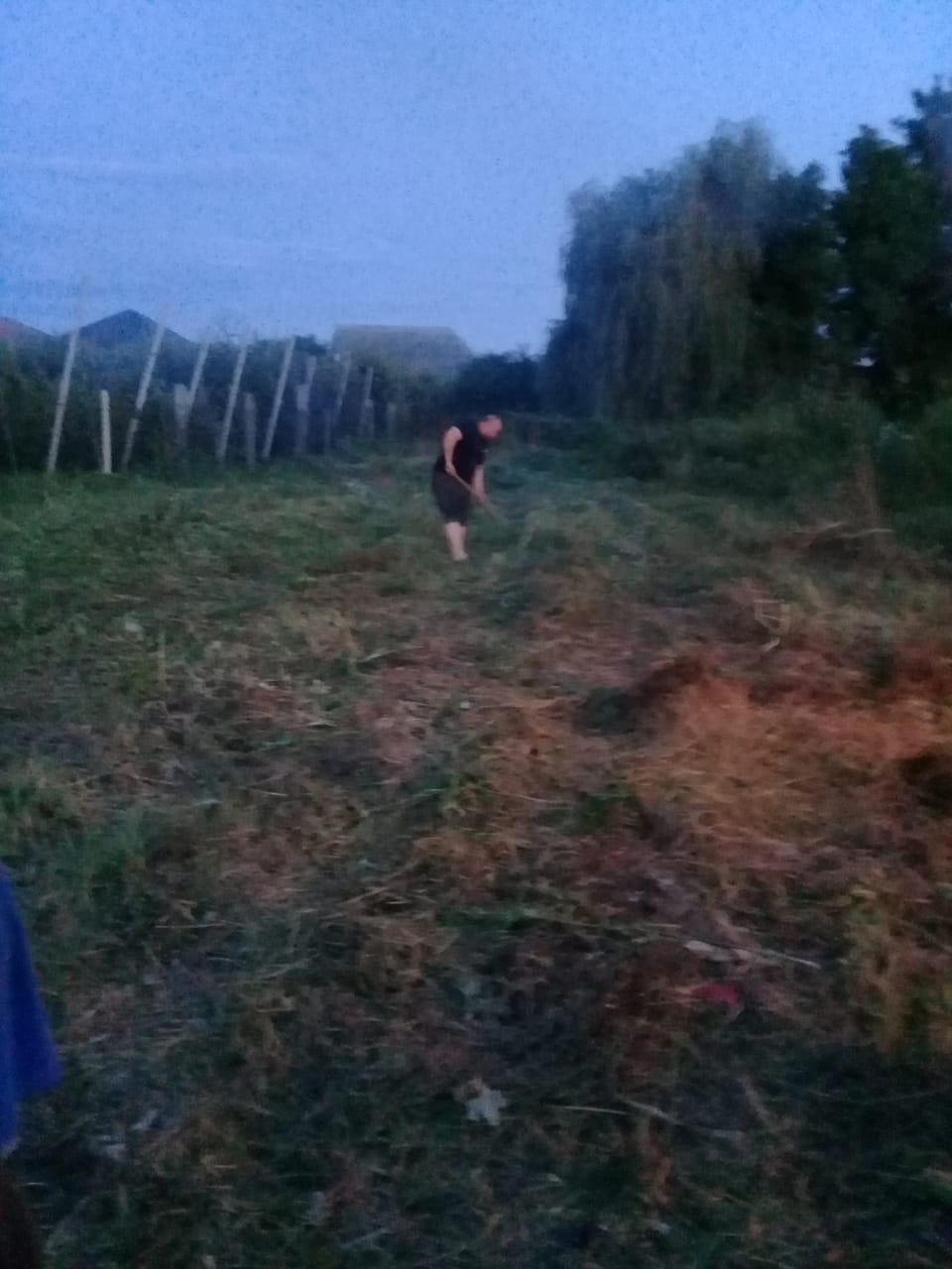 IMG-20190702-WA0015